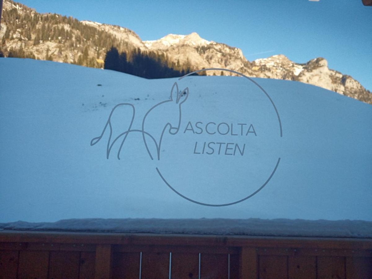 Maison Boutique Fior D'Alpe Sappada Eksteriør billede